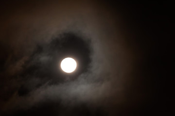 New Moon Night