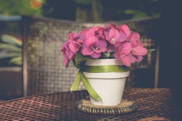 flowers vintage background beautiful toned color