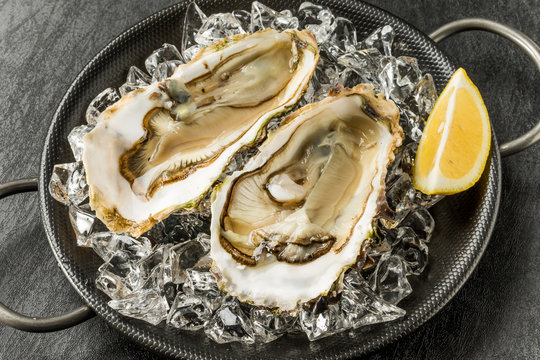 生ガキとレモン　 Raw oysters
