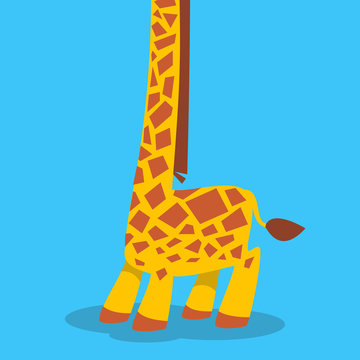 Cute big giraffe 