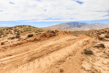 landscape of red sandstone