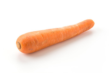 carrot