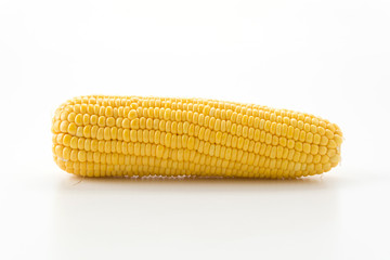 fresh corn