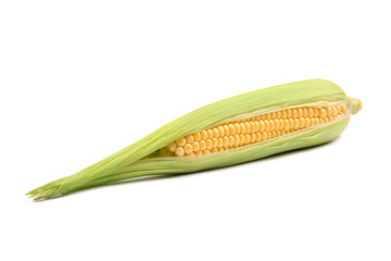 Fresh corn cob maize isolated on white closeup