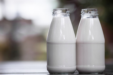 Bottles of milk on the wood