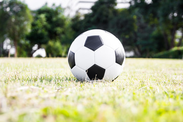 Soccer football ball on grass field