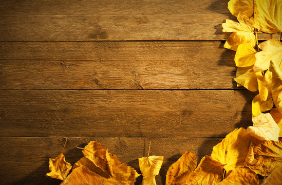 Yellow and brown autumn leaves on wooden background