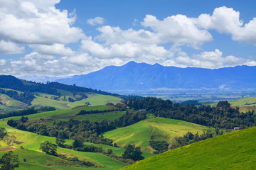 Picturesque landscape