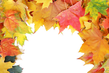 Frame of autumn maple leaves with copy space on white background