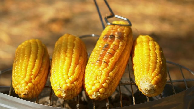 Healthy vegetarian barbecue with ripe golden corn and turn it around by using barbeque tongs
