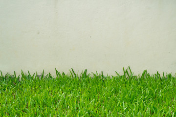Obraz na płótnie Canvas White cement wall and grass