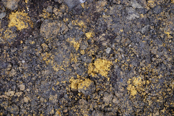 Dirt and soil. Brownish dirt with yellow spot.