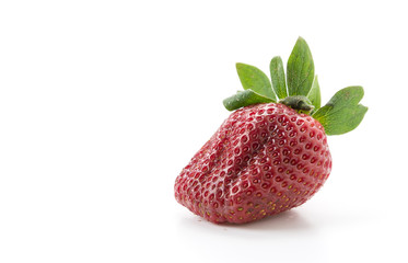 fresh strawberry