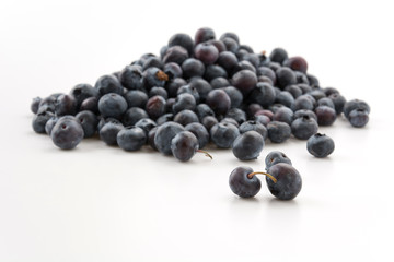 fresh blueberries