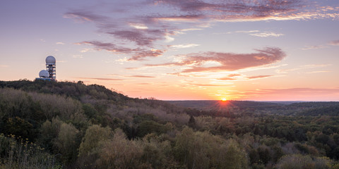 View over the Grunewald forest in Berlin