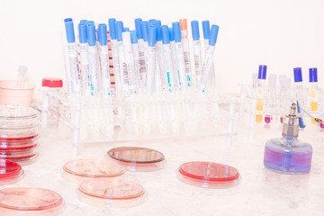 Testing of blood samples for diseases and hormones