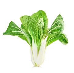 Chinese lettuce in isolated on a white background