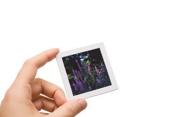 Male hand holding a framed piece of slide film isolated on white