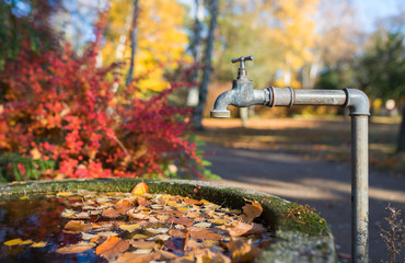 Rustic steel faucet over a stone water reservoir with leaves on the water surface in autumn