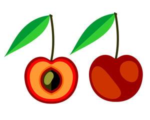 Vector fruits illustration. Detailed icon of cherry, whole and half, isolated over white background.Series of fruits and ingredients for cooking.
