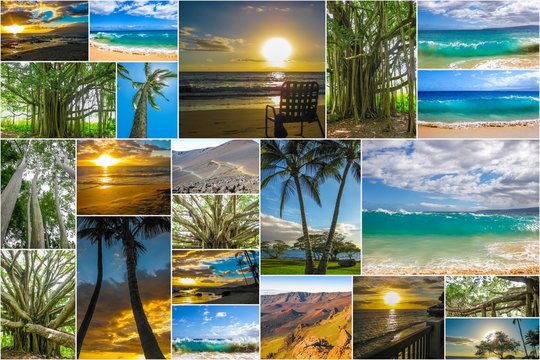 Maui landscapes collage