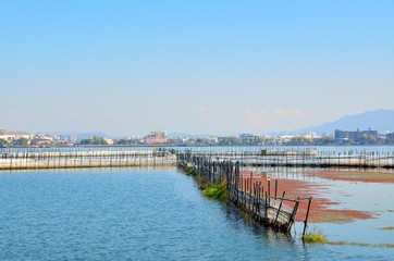 Fototapeta na wymiar 琵琶湖のえり漁