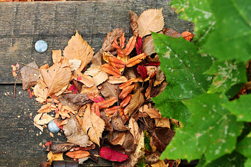 Autumn leaves on wooden background.