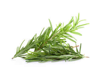rosemary isolated on white background
