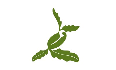 Oak branch with acorns, vector illustration