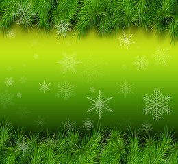 Fototapeta na wymiar Christmas green background with fir branches