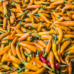 Orange chili peppers, closeup view