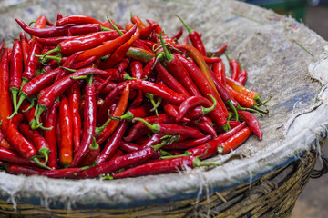 Orange chili peppers, closeup view