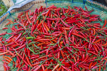 Naklejka premium Orange chili peppers, closeup view