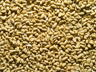 background of large quantities of peanuts, the illuminated light