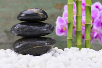 Japanischer ZEN Garten