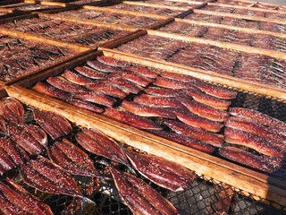 いわしのみりん干し