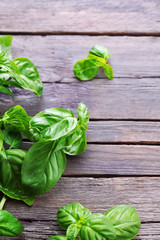 Green fresh basil on wooden background