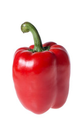 red pepper over white background
