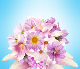 Abstract floral assorted Beautiful bouquet pink flowers  on light blue background