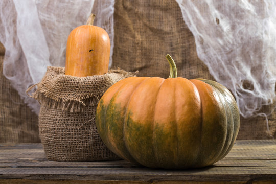 Still life pumpkin and gourd