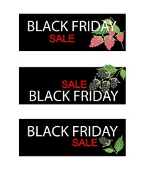Raspberry and Blackberry on Black Friday Sale Banner