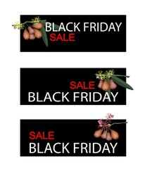 Water Apple on Black Friday Sale Banner