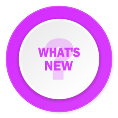 new violet pink circle 3d modern flat design icon on white background