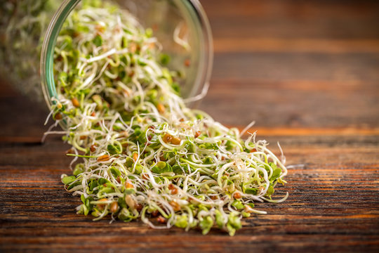 Mix of fresh sprouts