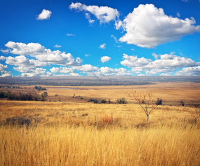 Obraz premium Beautiful landscape with yellow grass, river and blue cloudy sky