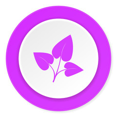 leaf violet pink circle 3d modern flat design icon on white background