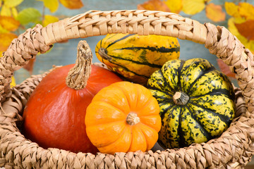 Kürbis als Dekoration zu Halloween