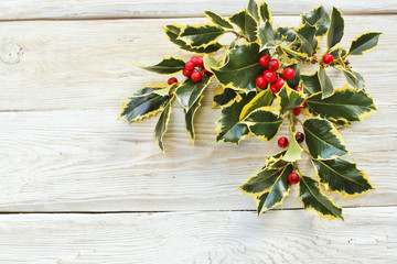Branch of holly trees with red berries on white wooden background 