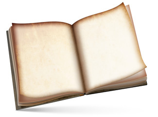 altes Buch leer, freigestellt