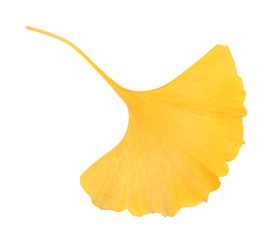 Naklejka premium Beautiful autumn leaf, isolated on white